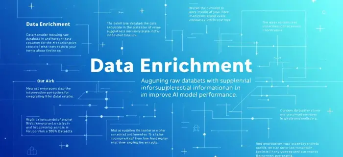 Data Enrichment